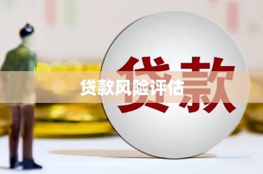 长丰贷款风险评估
