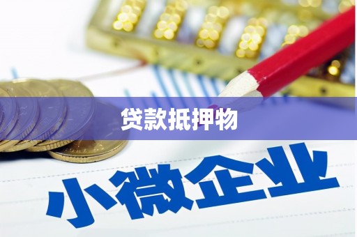 长丰贷款抵押物