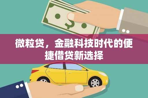 长丰微粒贷，金融科技时代的便捷借贷新选择