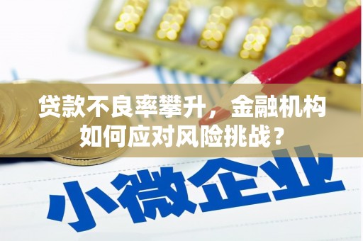 长丰贷款不良率攀升，金融机构如何应对风险挑战？