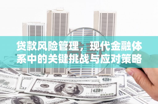 长丰贷款风险管理，现代金融体系中的关键挑战与应对策略