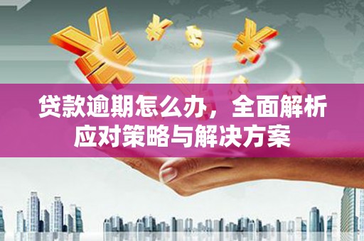长丰贷款逾期怎么办，全面解析应对策略与解决方案