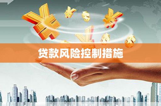 长丰贷款风险控制措施